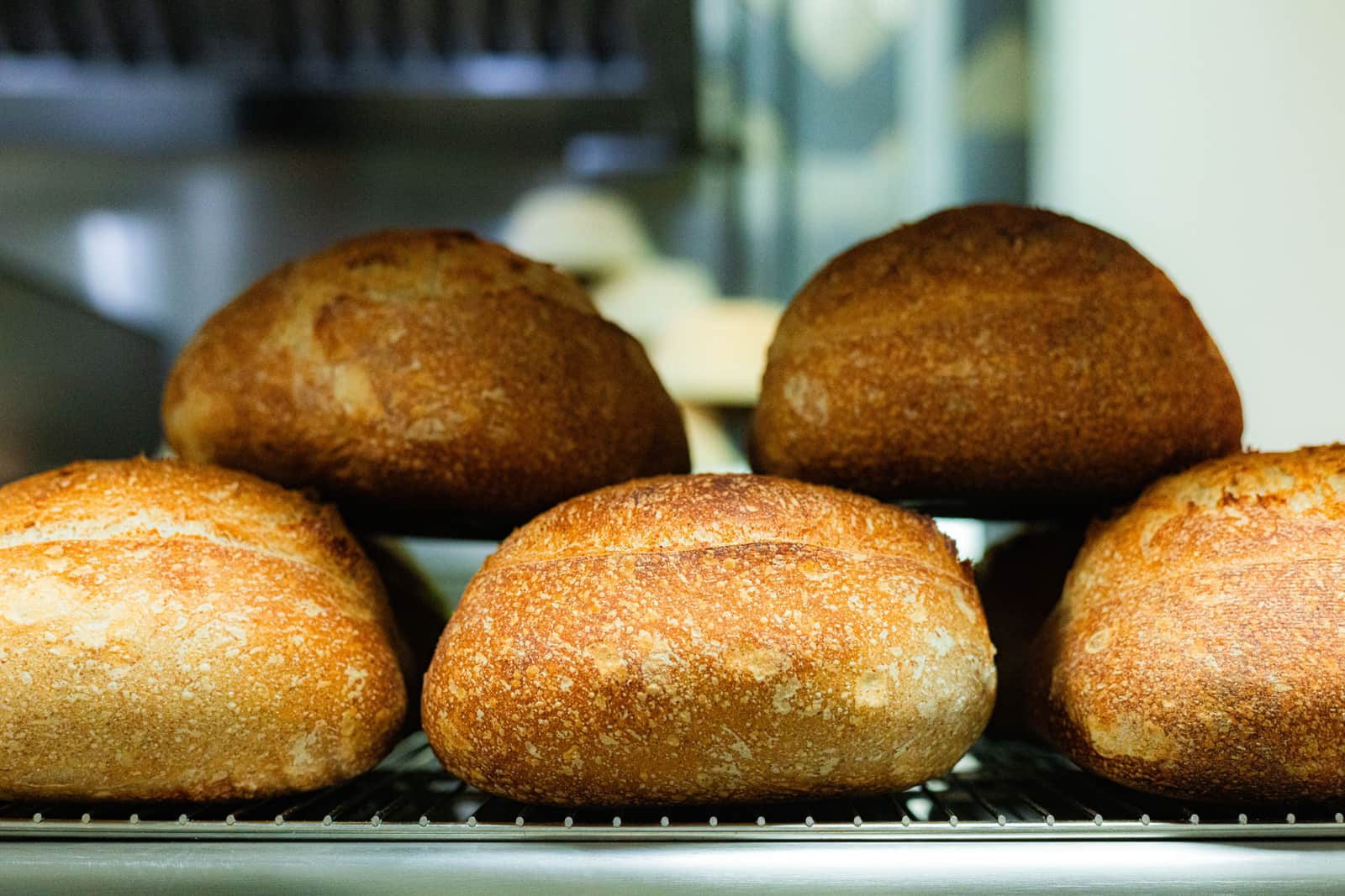 Fresh loaves of home-baked bread on a cooling rack